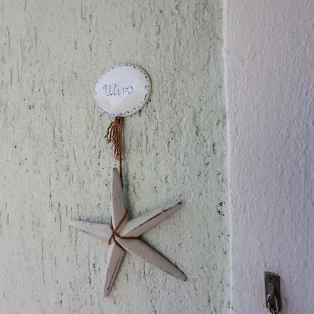 Sa Domo E Aurelia Apartment