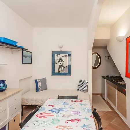 Sa Domo E Aurelia سان تيودورو